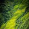 VIETNAM GRAND TOUR 21 DAYS 20 NIGHTS from 820 USD/person only